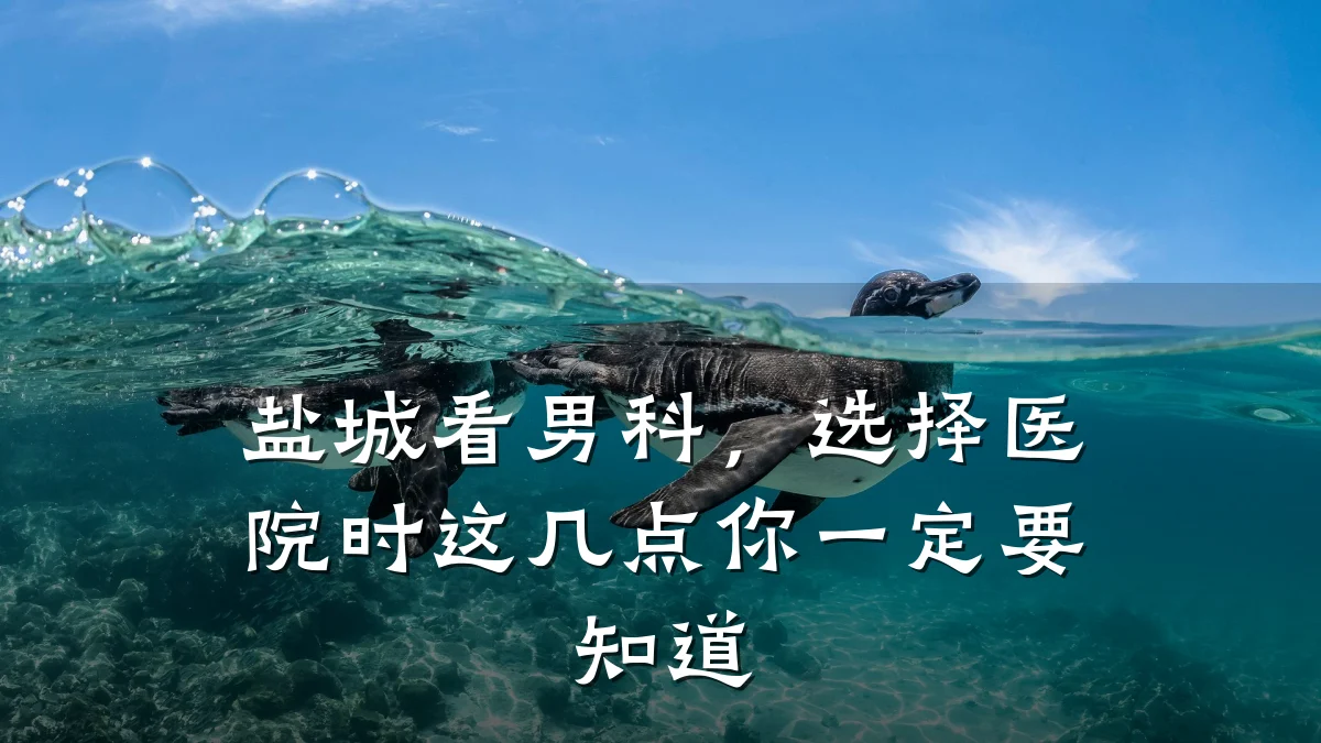 盐城看男科,选择医院时这几点你一定要知道