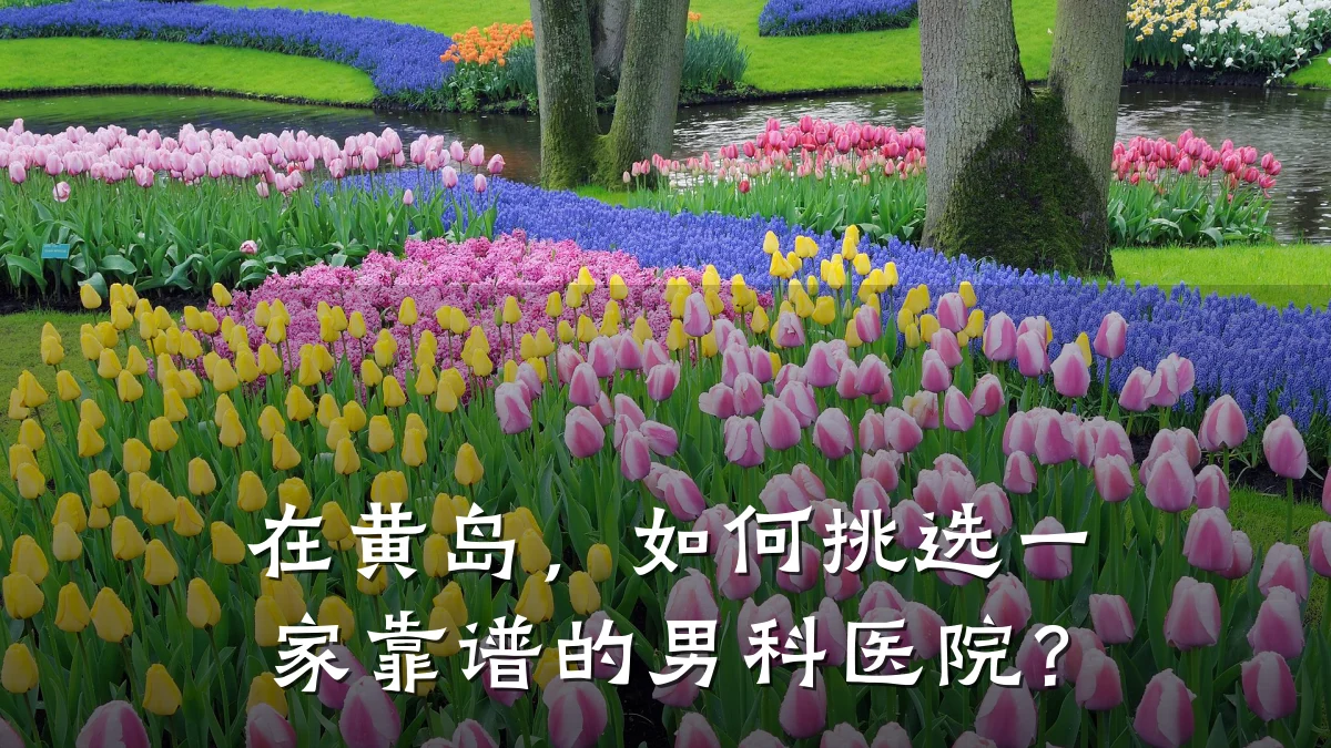 在黄岛,如何挑选一家靠谱的男科医院?