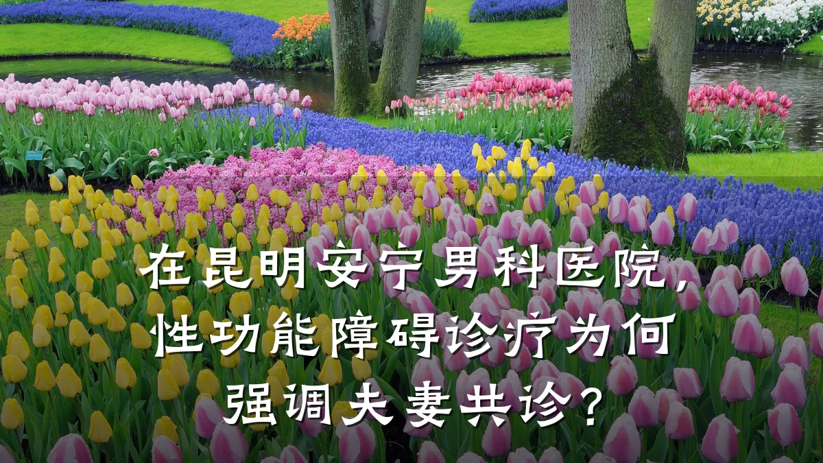 在昆明安宁男科医院,性功能障碍诊疗为何强调夫妻共诊?