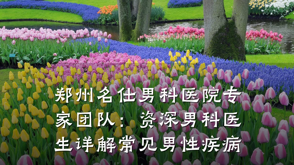 郑州名仕男科医院专家团队:资深男科医生详解常见男性疾病