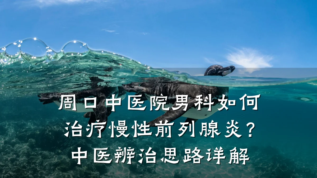 周口中医院男科如何治疗慢性前列腺炎?中医辨治思路详解