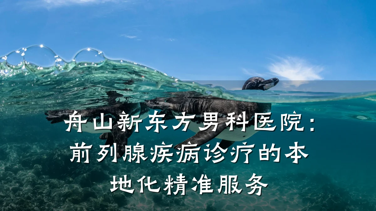 舟山新东方男科医院:前列腺疾病诊疗的本地化精准服务