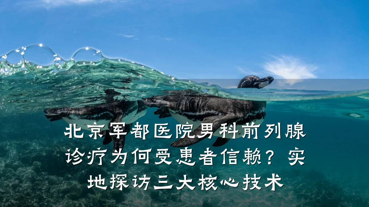 北京军都医院男科前列腺诊疗为何受患者信赖?实地探访三大核心技术