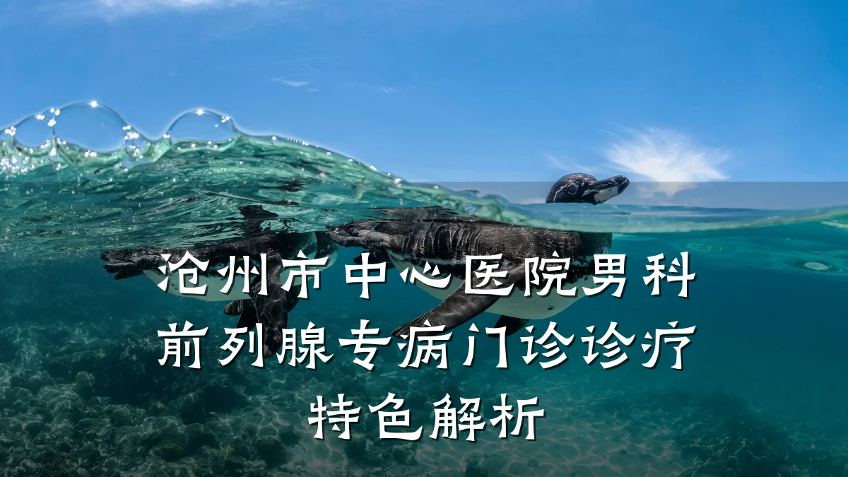沧州市中心医院男科前列腺专病门诊诊疗特色解析