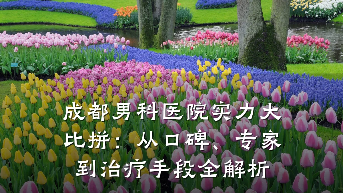 成都男科医院实力大比拼:从口碑、专家到治疗手段全解析