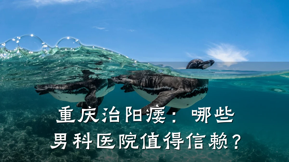 重庆治阳痿：哪些男科医院值得信赖？