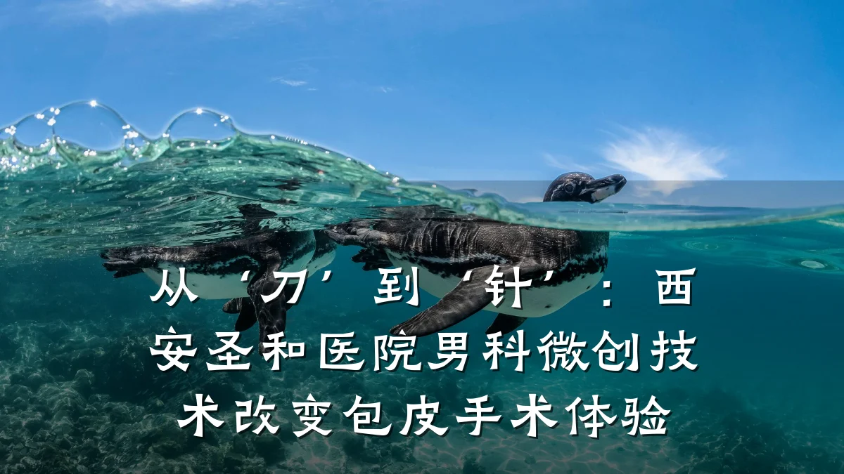 从‘刀’到‘针’:西安圣和医院男科微创技术改变包皮手术体验