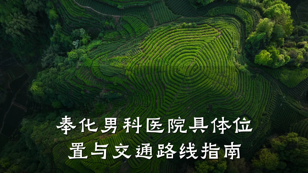 奉化男科医院具体位置与交通路线指南