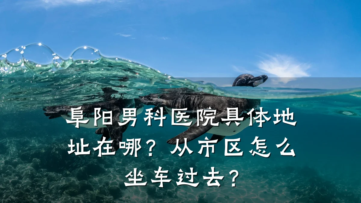 阜阳男科医院具体地址在哪?从市区怎么坐车过去?