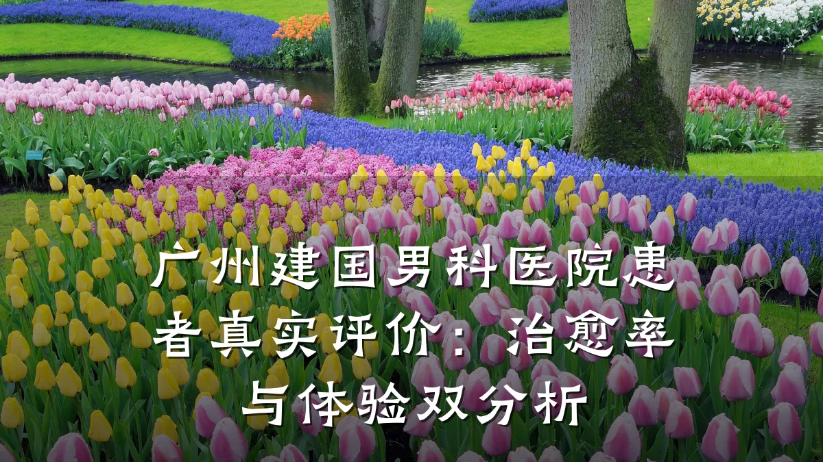 广州建国男科医院患者真实评价:治愈率与体验双分析