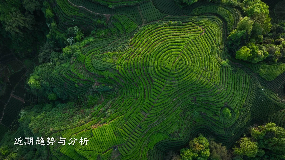 近期趋势与分析
