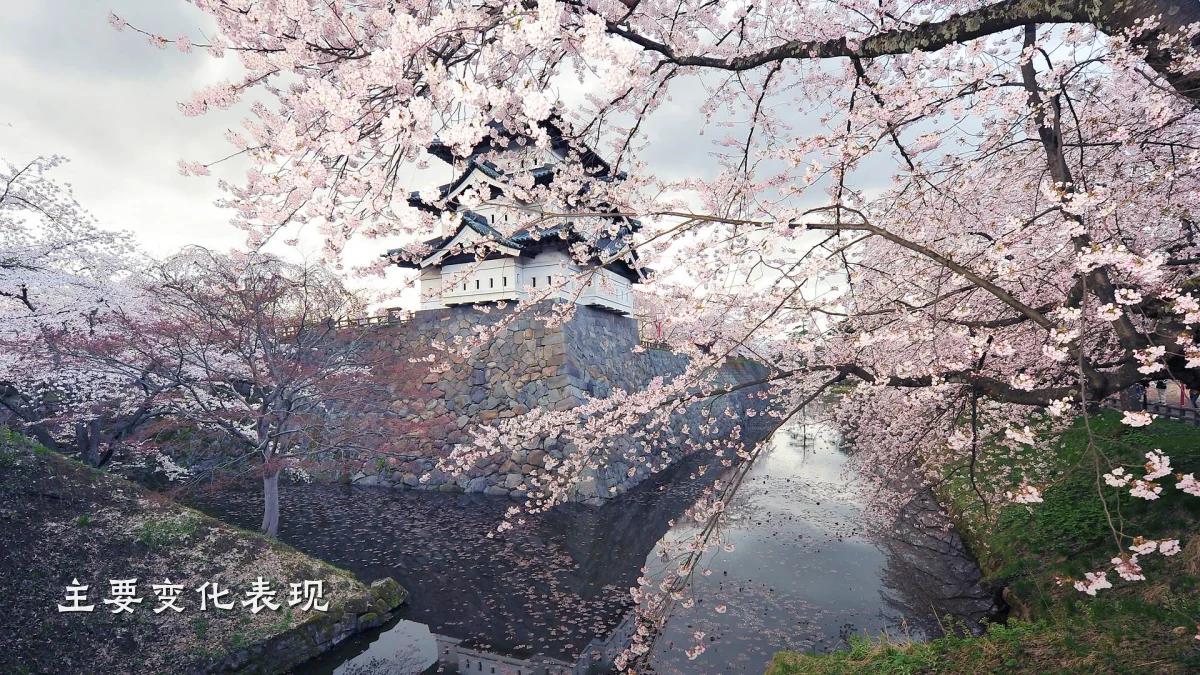 主要变化表现
