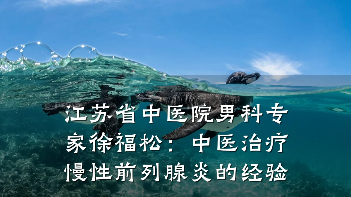江苏省中医院男科专家徐福松:中医治疗慢性前列腺炎的经验