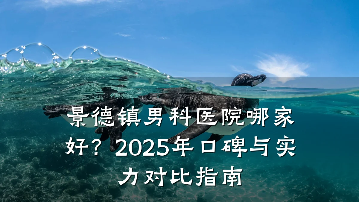 景德镇男科医院哪家好?2025年口碑与实力对比指南