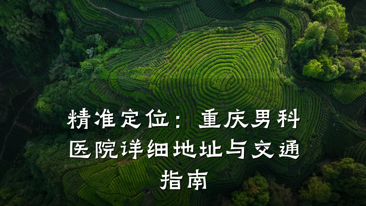 精准定位:重庆男科医院详细地址与交通指南