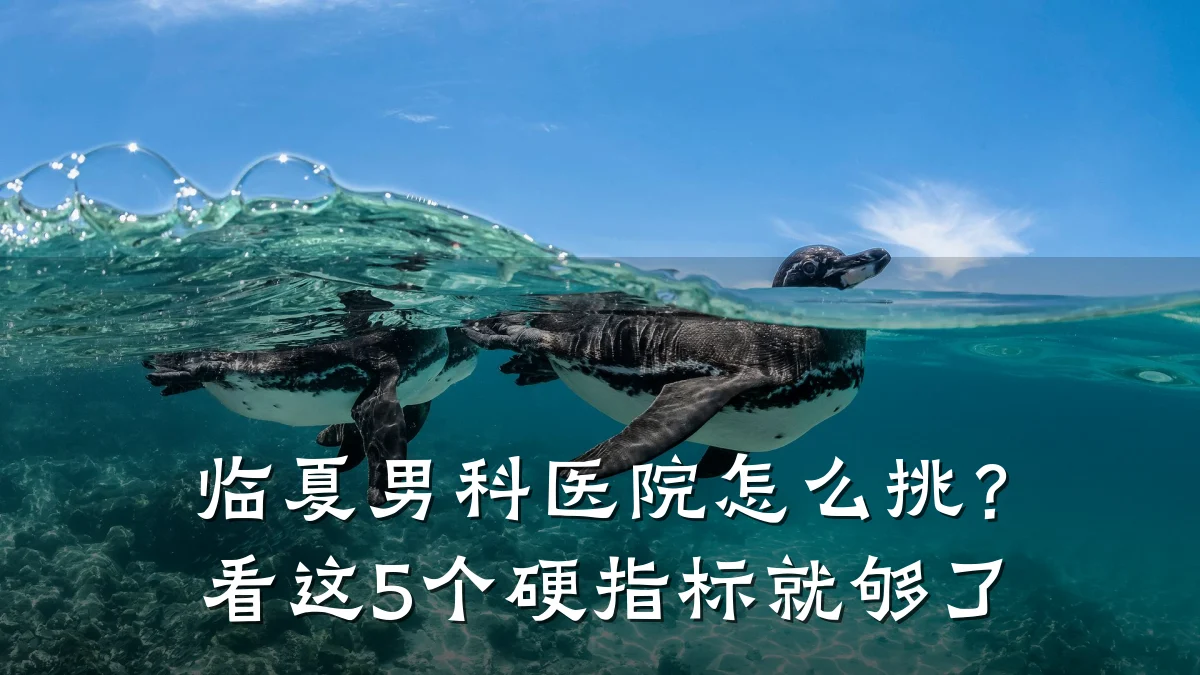 临夏男科医院怎么挑?看这5个硬指标就够了