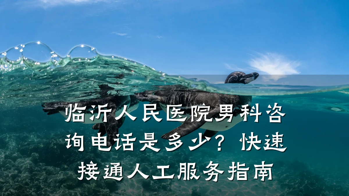 临沂人民医院男科咨询电话是多少?快速接通人工服务指南