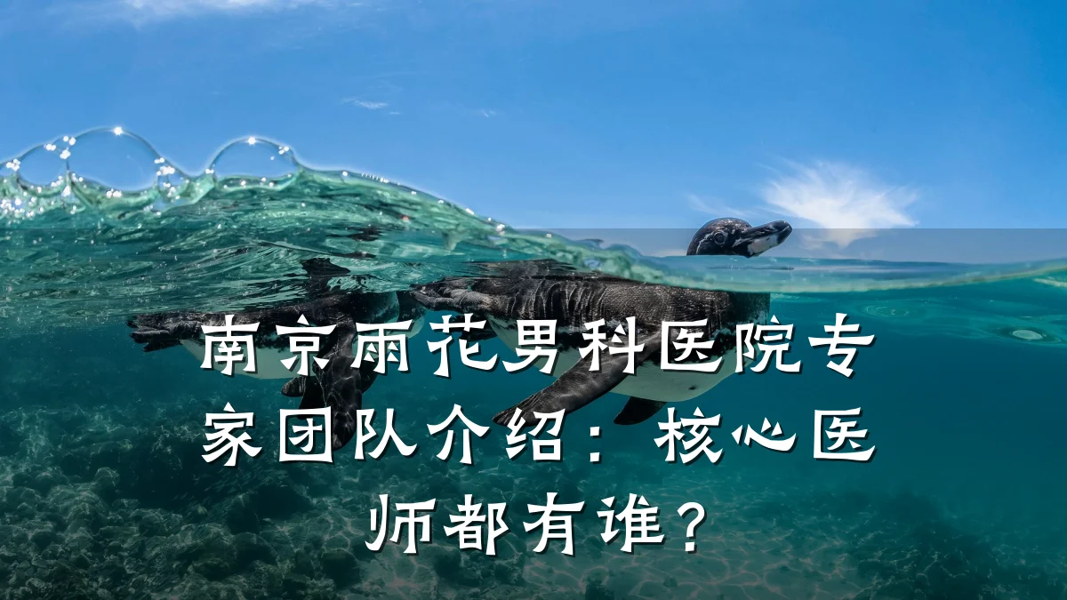 南京雨花男科医院专家团队介绍:核心医师都有谁?