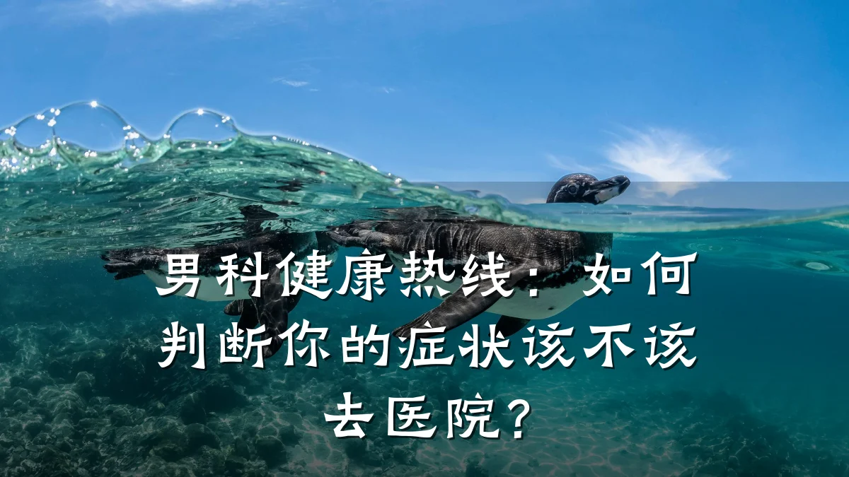 男科健康热线:如何判断你的症状该不该去医院?