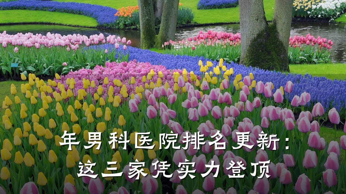 年男科医院排名更新:这三家凭实力登顶