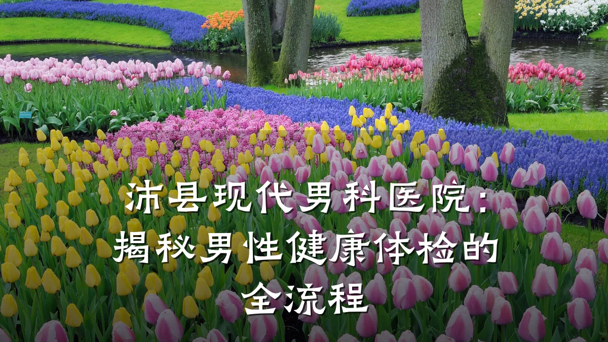 沛县现代男科医院:揭秘男性健康体检的全流程