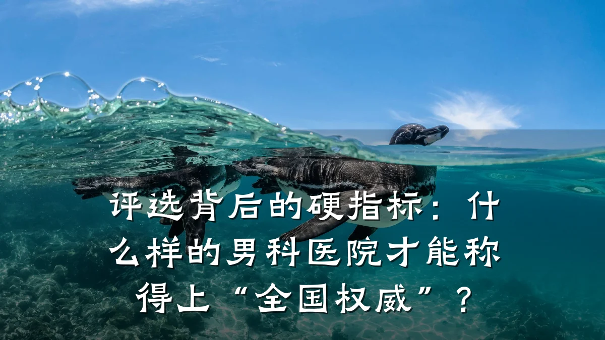 评选背后的硬指标:什么样的男科医院才能称得上“全国权威”?