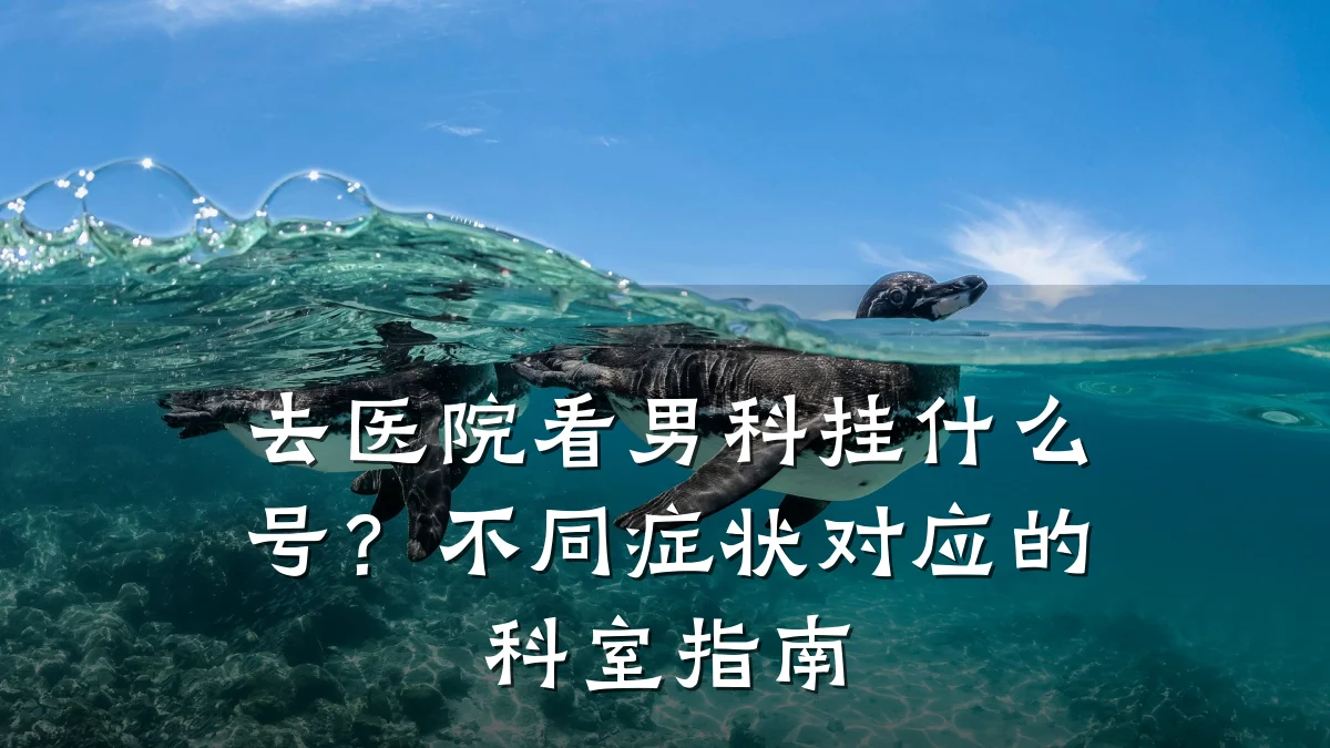 去医院看男科挂什么号?不同症状对应的科室指南