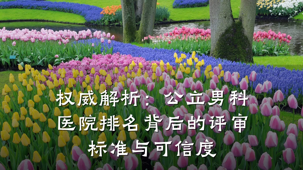 权威解析:公立男科医院排名背后的评审标准与可信度