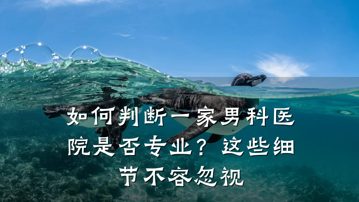 如何判断一家男科医院是否专业?这些细节不容忽视