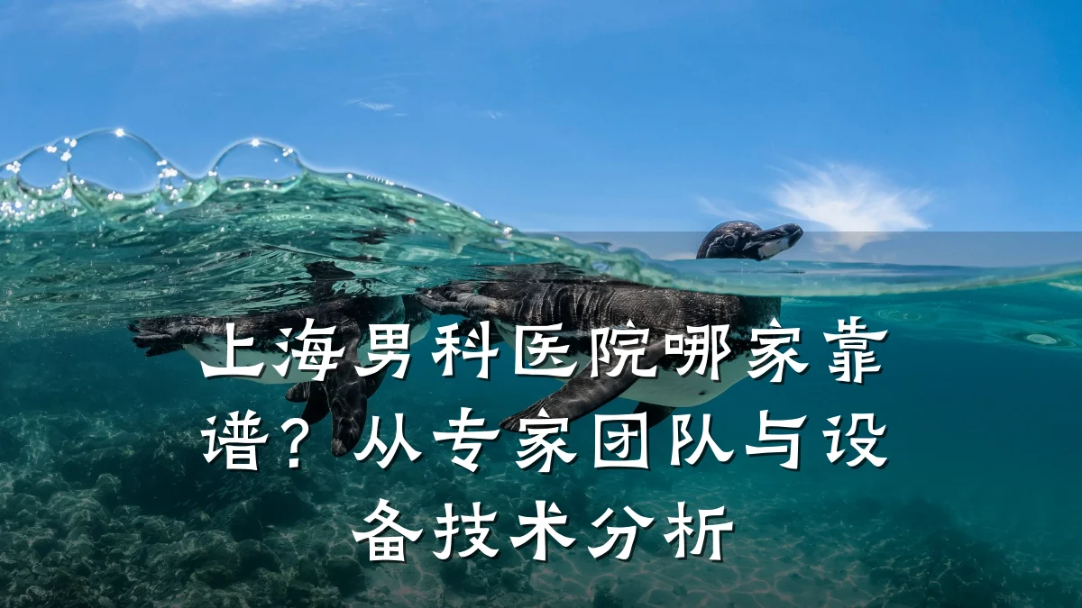 上海男科医院哪家靠谱?从专家团队与设备技术分析