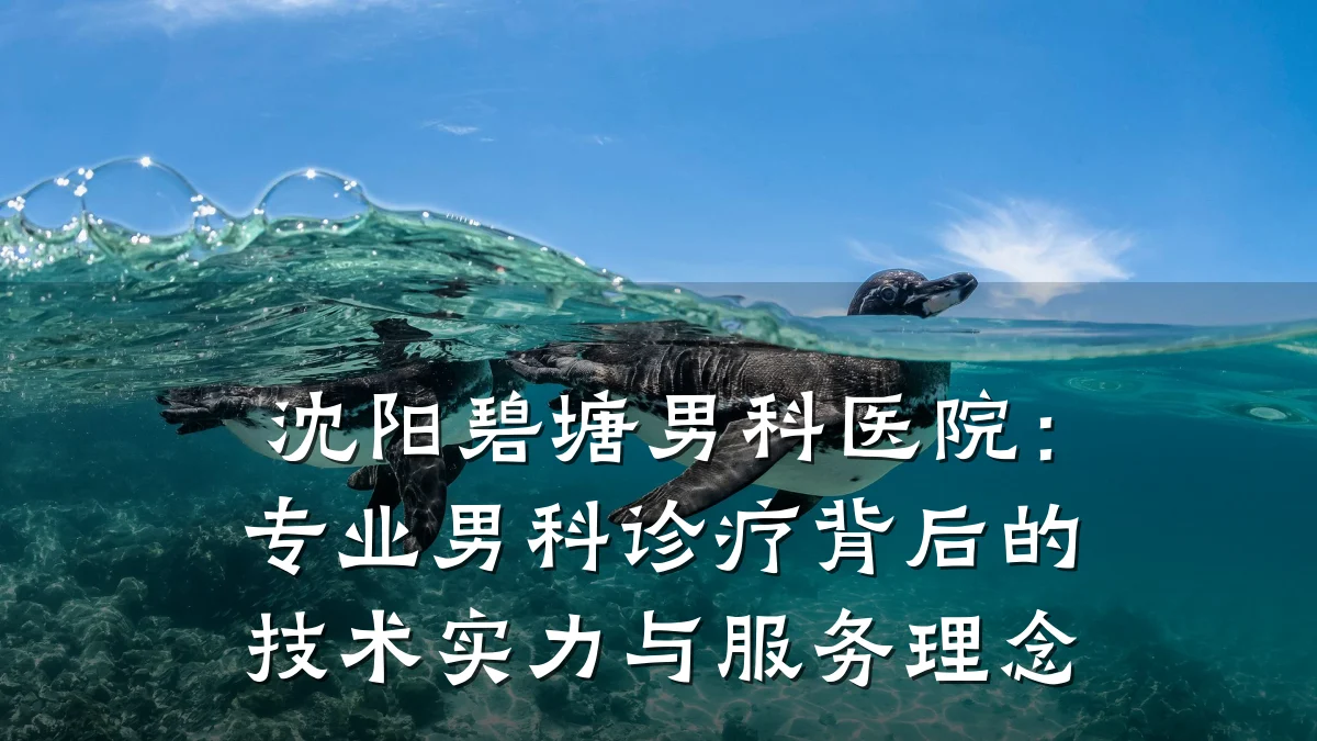 沈阳碧塘男科医院:专业男科诊疗背后的技术实力与服务理念