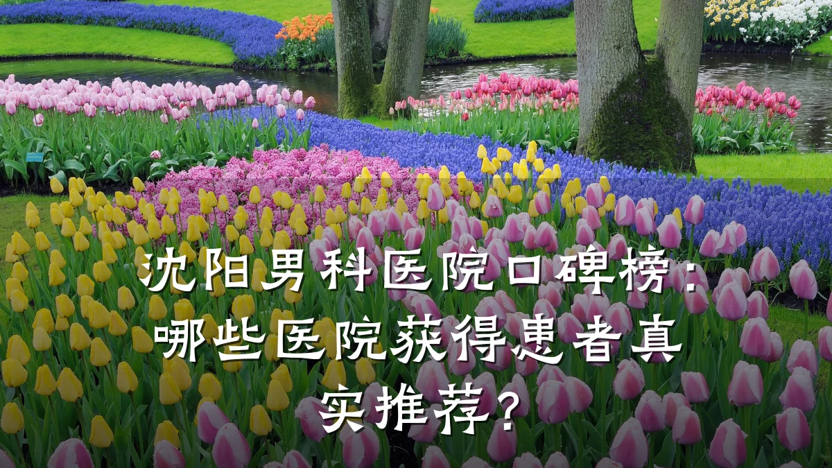 沈阳男科医院口碑榜:哪些医院获得患者真实推荐?