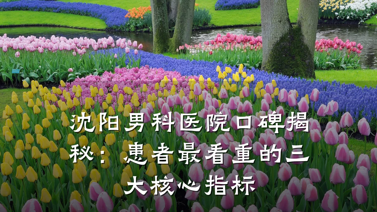 沈阳男科医院口碑揭秘:患者最看重的三大核心指标