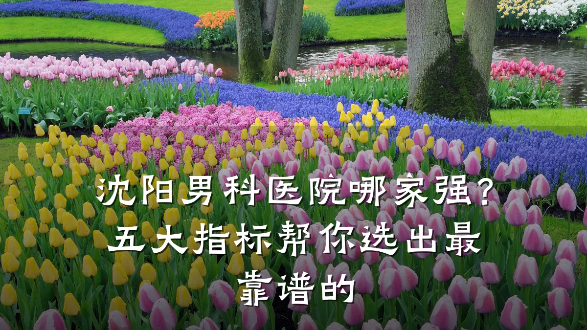 沈阳男科医院哪家强?五大指标帮你选出最靠谱的