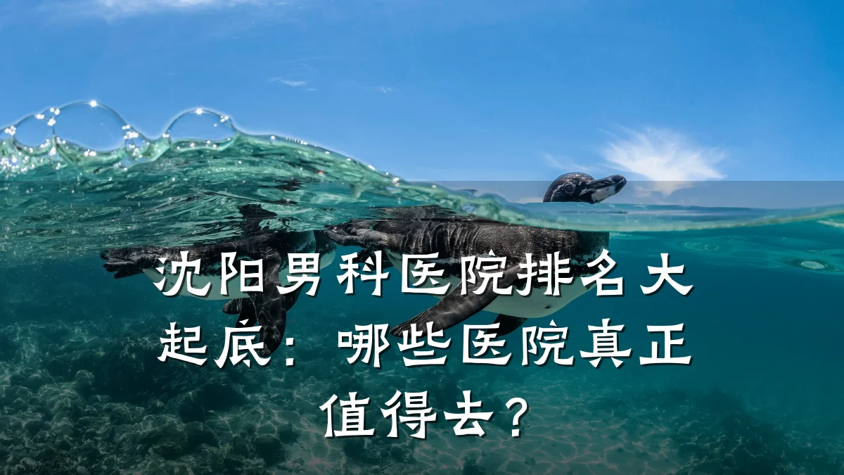 沈阳男科医院排名大起底:哪些医院真正值得去?