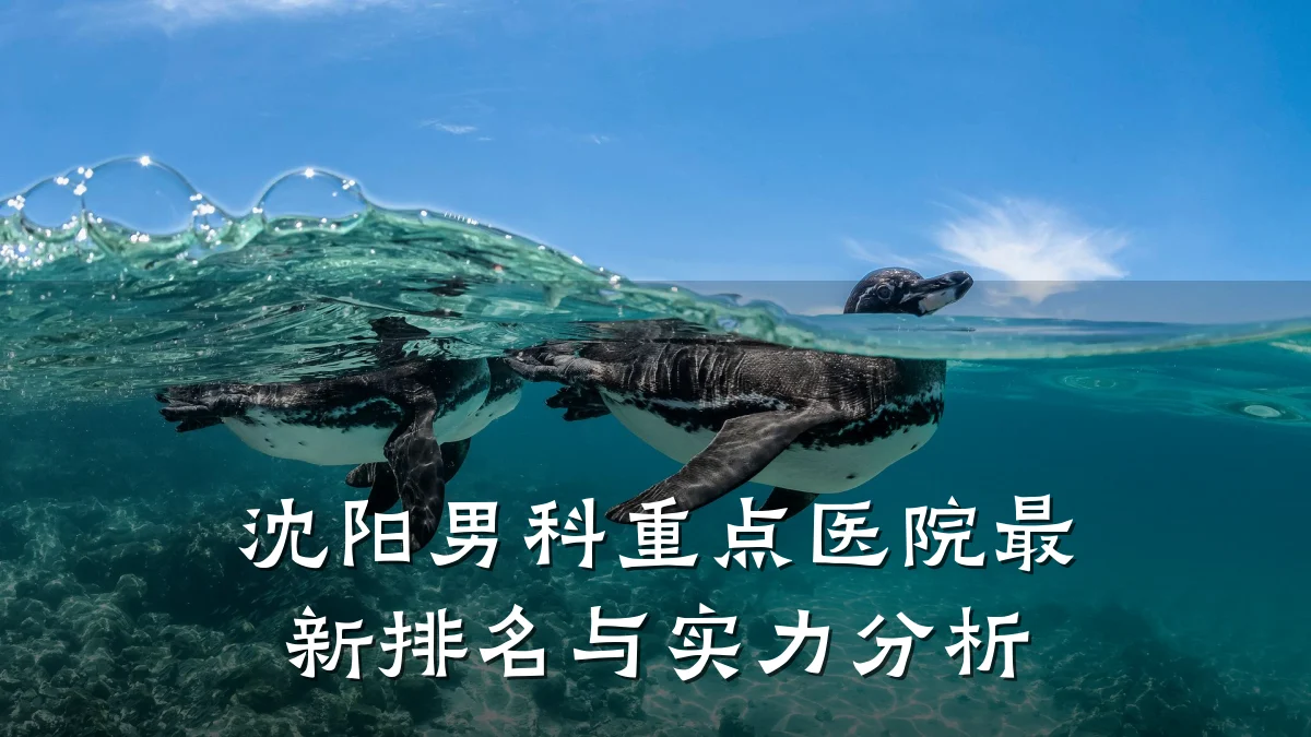 沈阳男科重点医院最新排名与实力分析