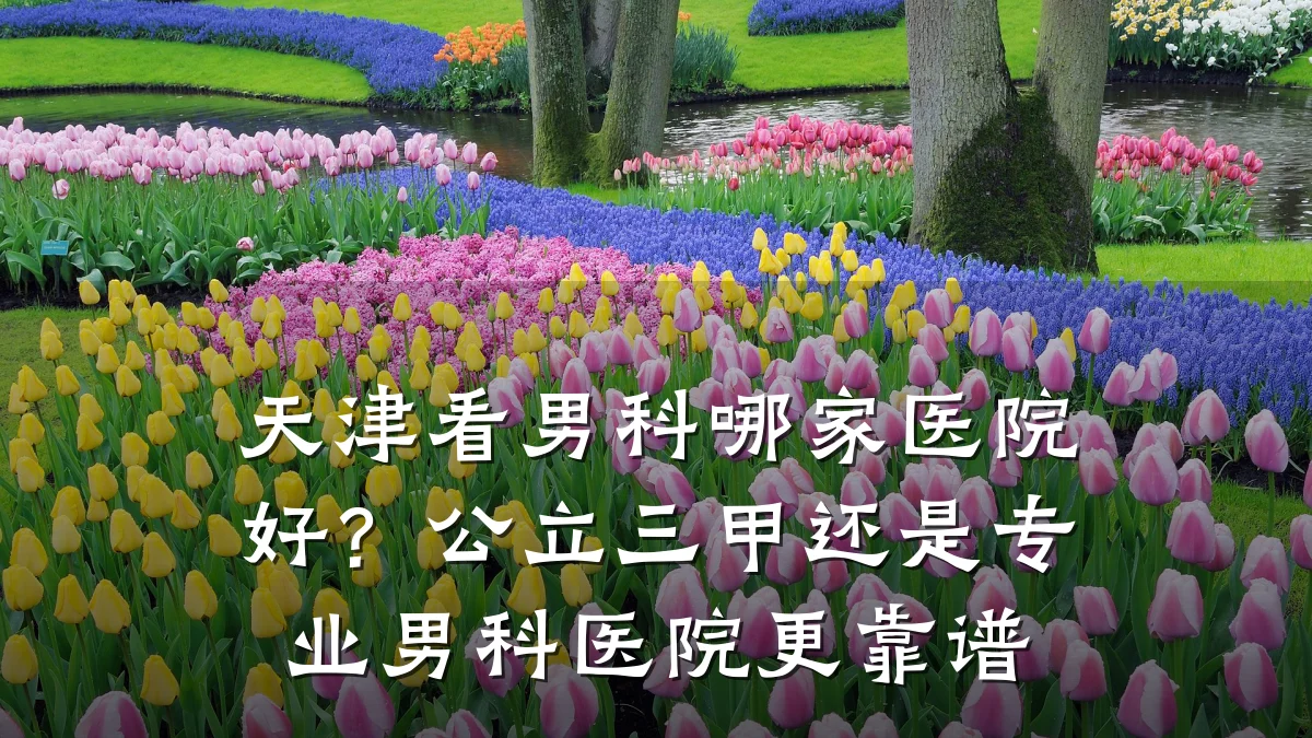 天津看男科哪家医院好?公立三甲还是专业男科医院更靠谱