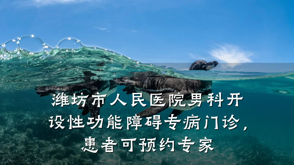 潍坊市人民医院男科开设性功能障碍专病门诊,患者可预约专家