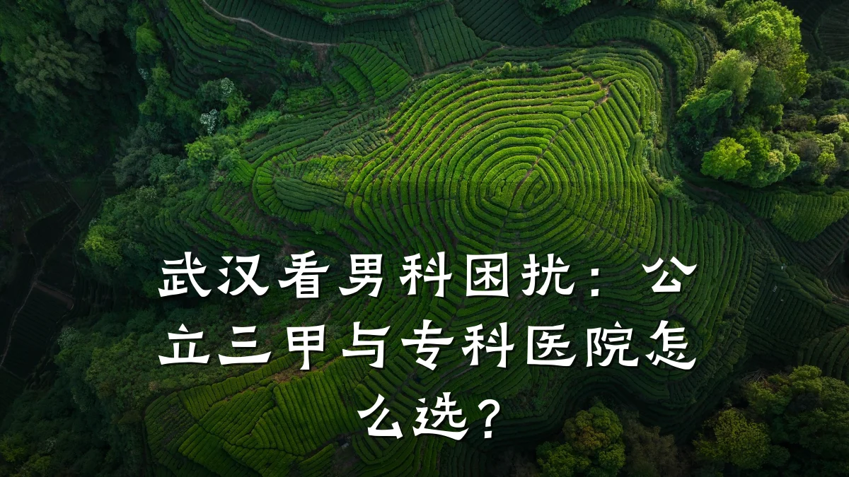 武汉看男科困扰:公立三甲与专科医院怎么选?