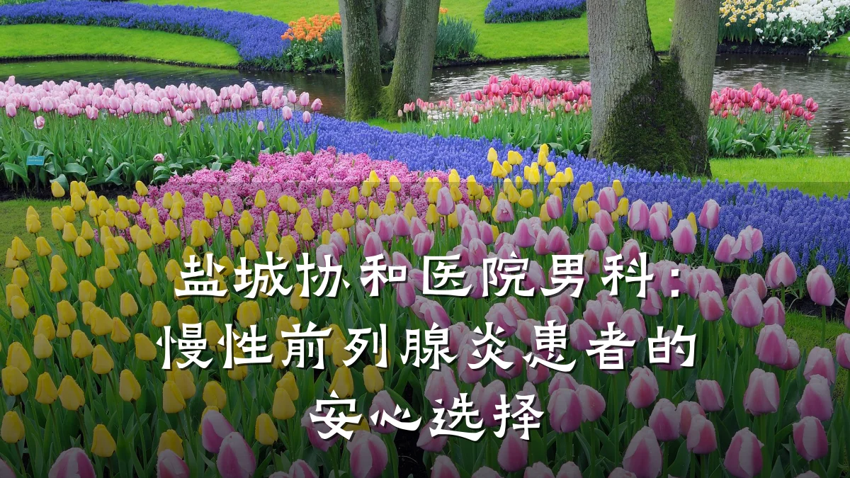 盐城协和医院男科:慢性前列腺炎患者的安心选择