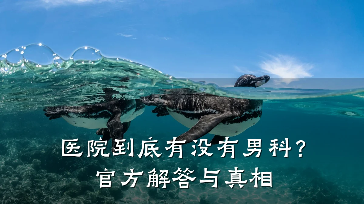 医院到底有没有男科?官方解答与真相