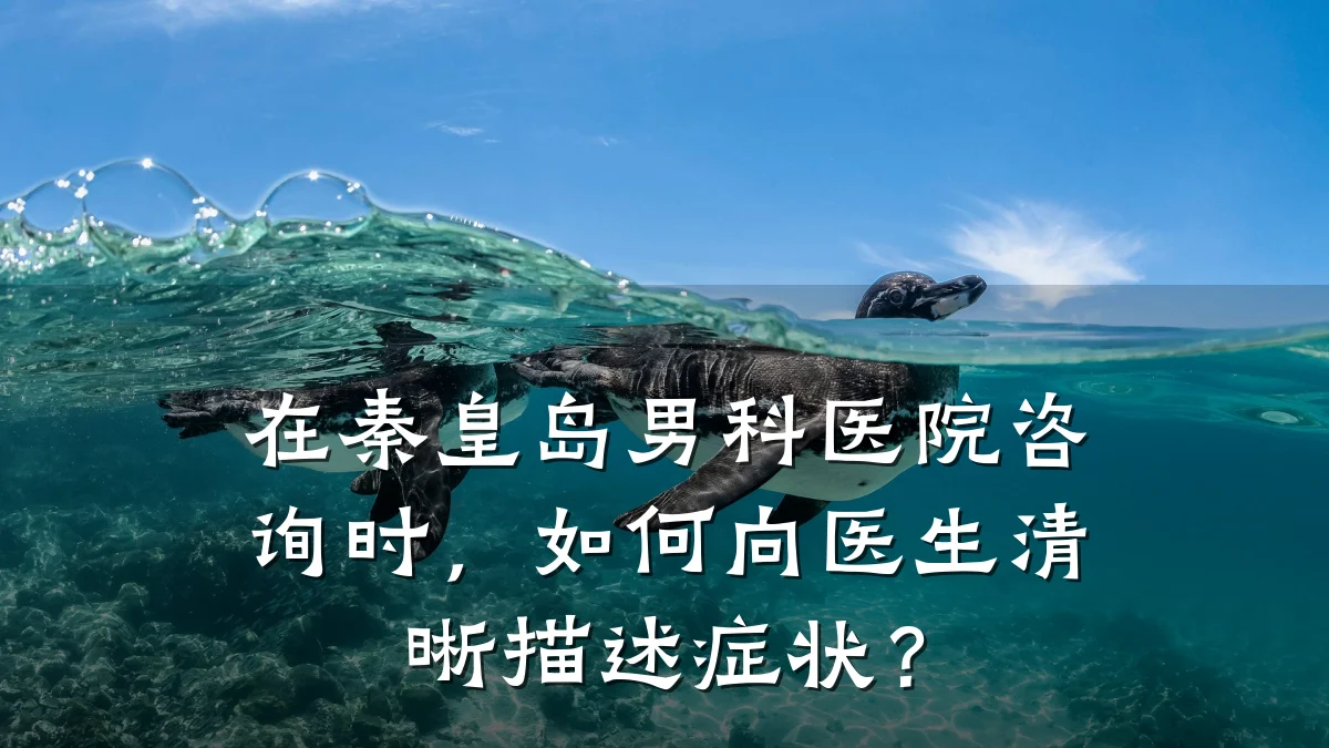 在秦皇岛男科医院咨询时,如何向医生清晰描述症状?
