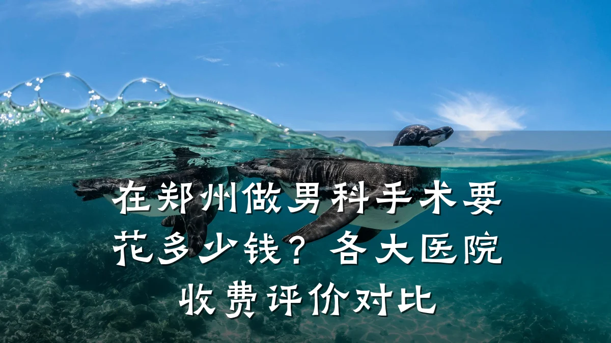 在郑州做男科手术要花多少钱?各大医院收费评价对比