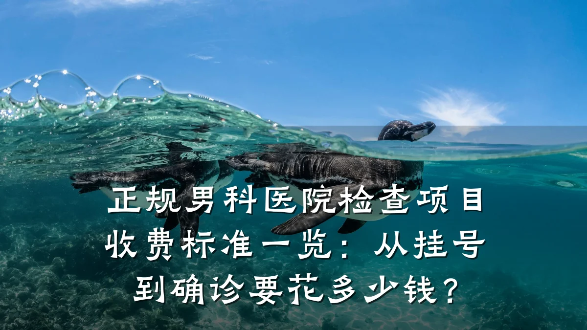 正规男科医院检查项目收费标准一览:从挂号到确诊要花多少钱?