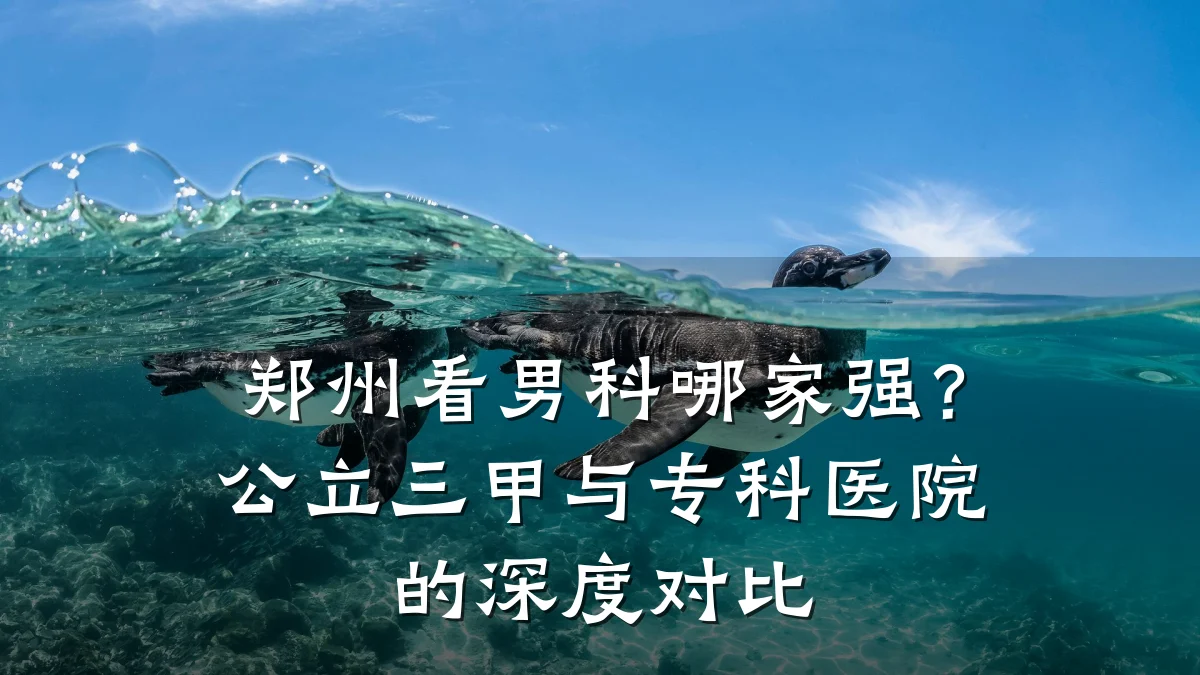 郑州看男科哪家强?公立三甲与专科医院的深度对比
