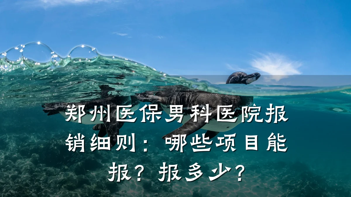 郑州医保男科医院报销细则:哪些项目能报?报多少?